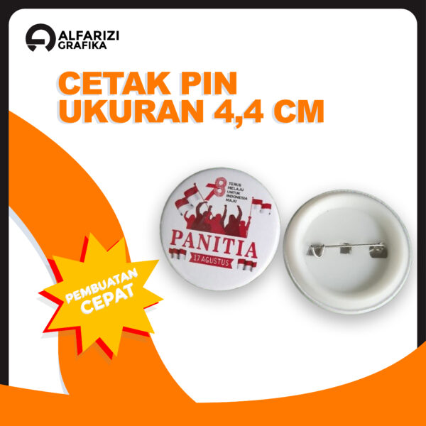 Pin (4,4)